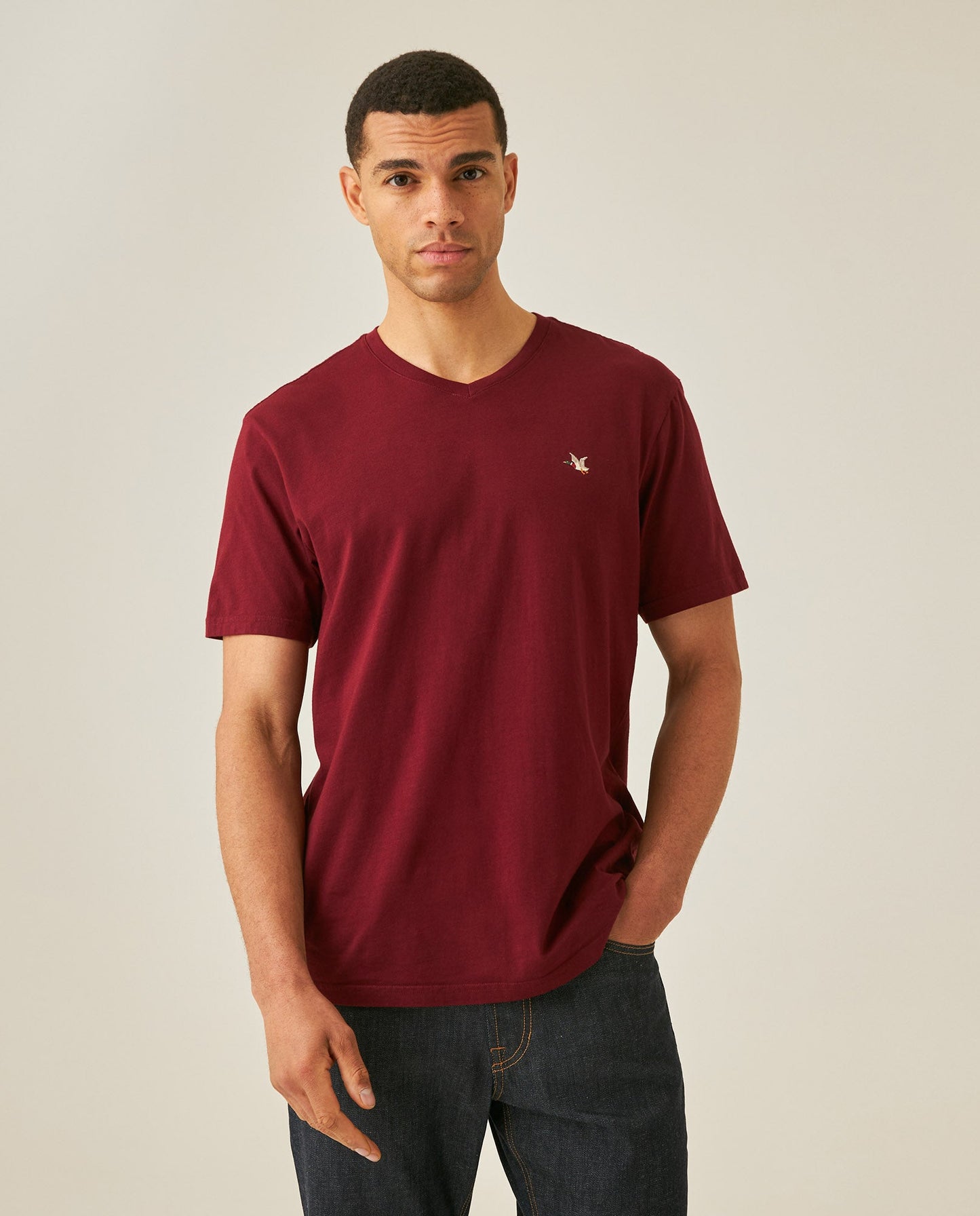 Men's Slim Fit V-Neck T-Shirt - Red