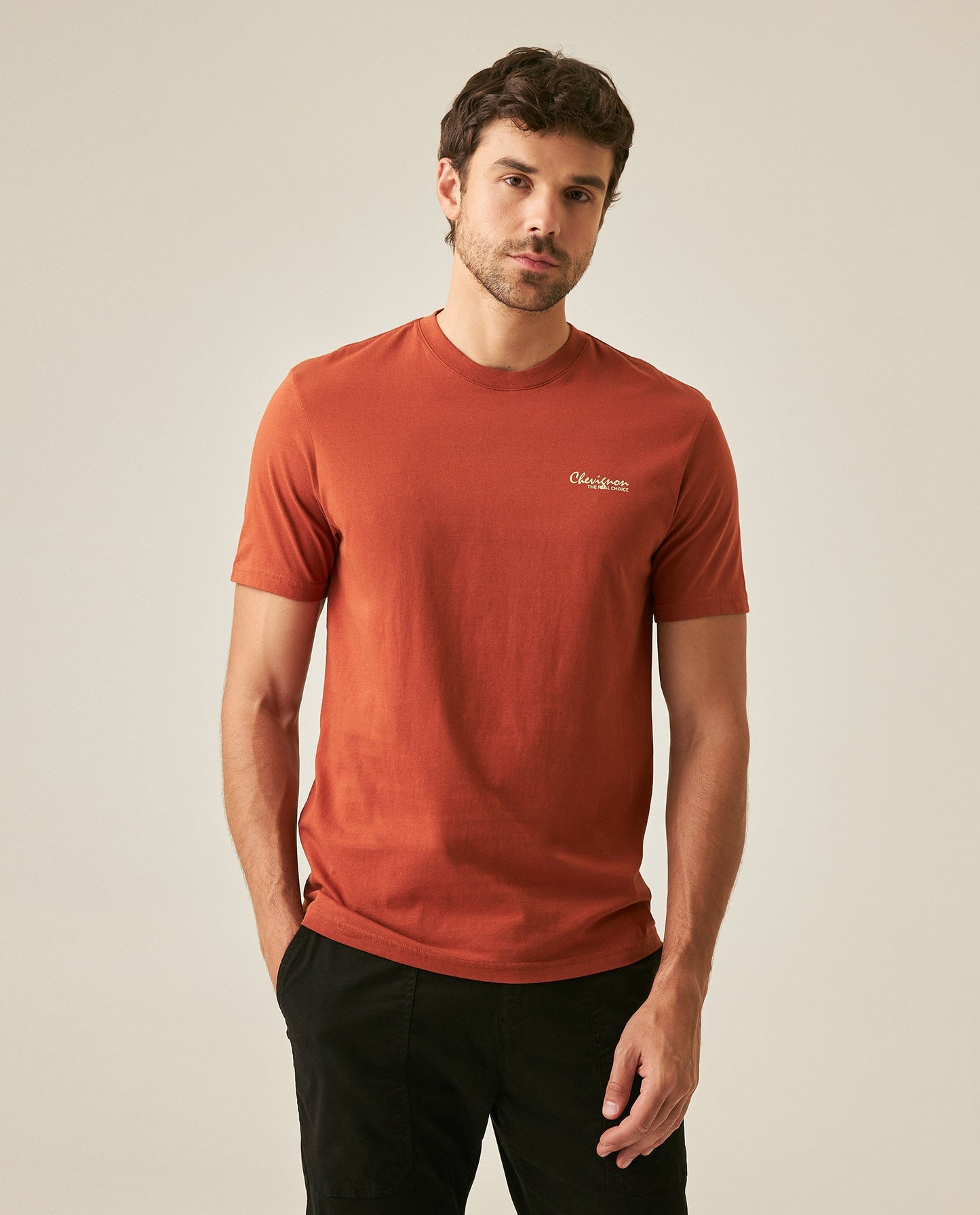 Men's T-Shirt Slim Fit Short Sleeve Cotton Jersey Medium Weight Front Graphic Back Superprint - Brown